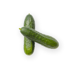 Ekmek