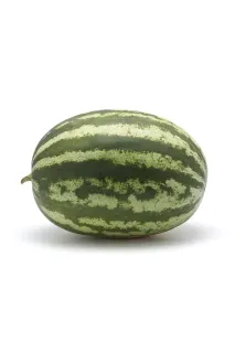 Karpuz