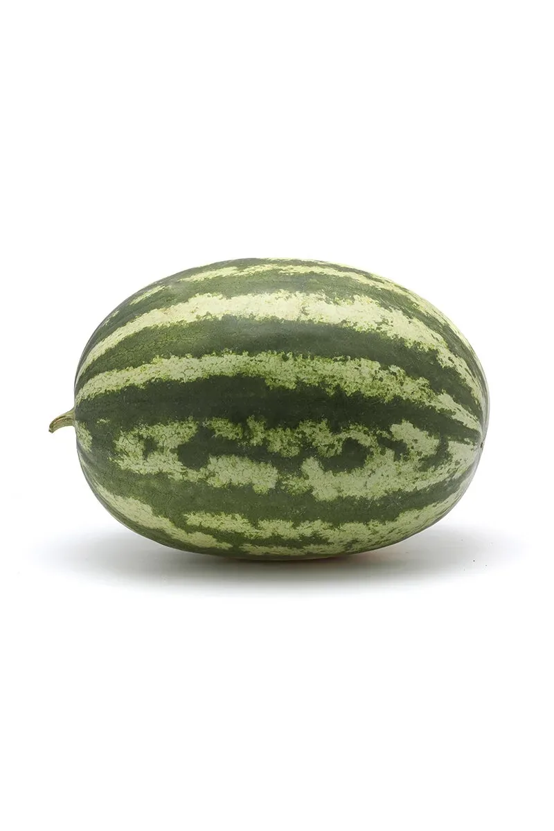 Karpuz